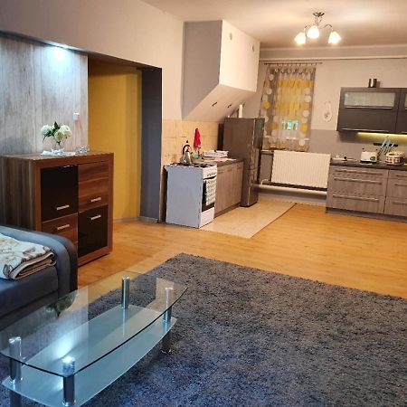 Apartament U Ani Przeczyce エクステリア 写真
